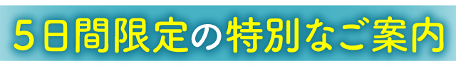 ５日間限定の特別なご案内